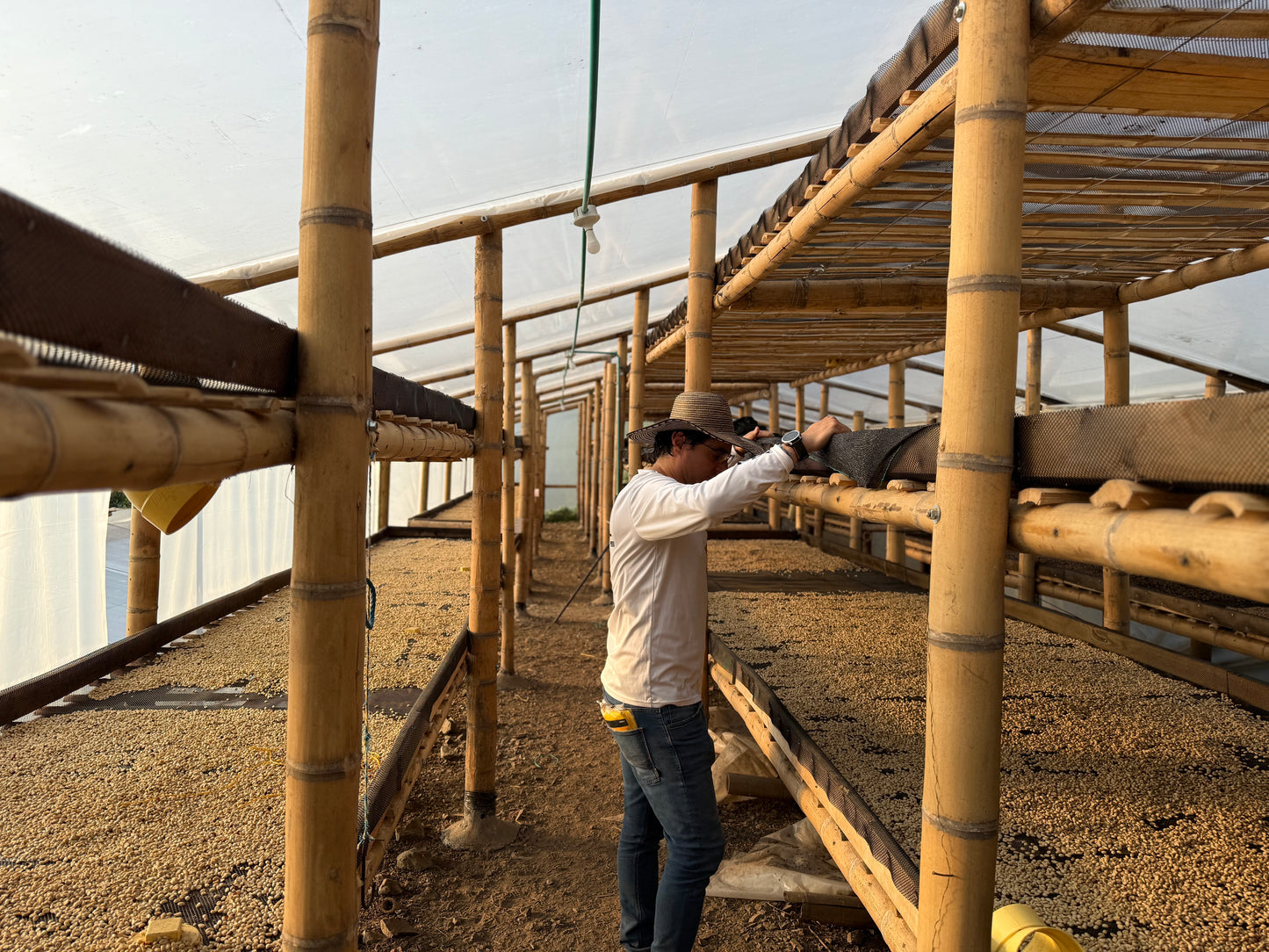 Colombia - Geisha Villamaria