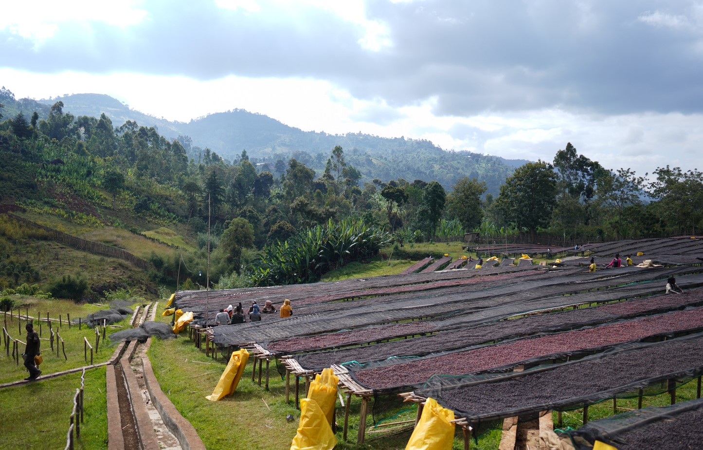 Ethiopia - Bombe Heirloom Filter