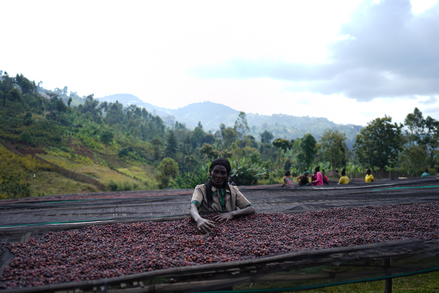 Ethiopia - Bombe Heirloom Filter